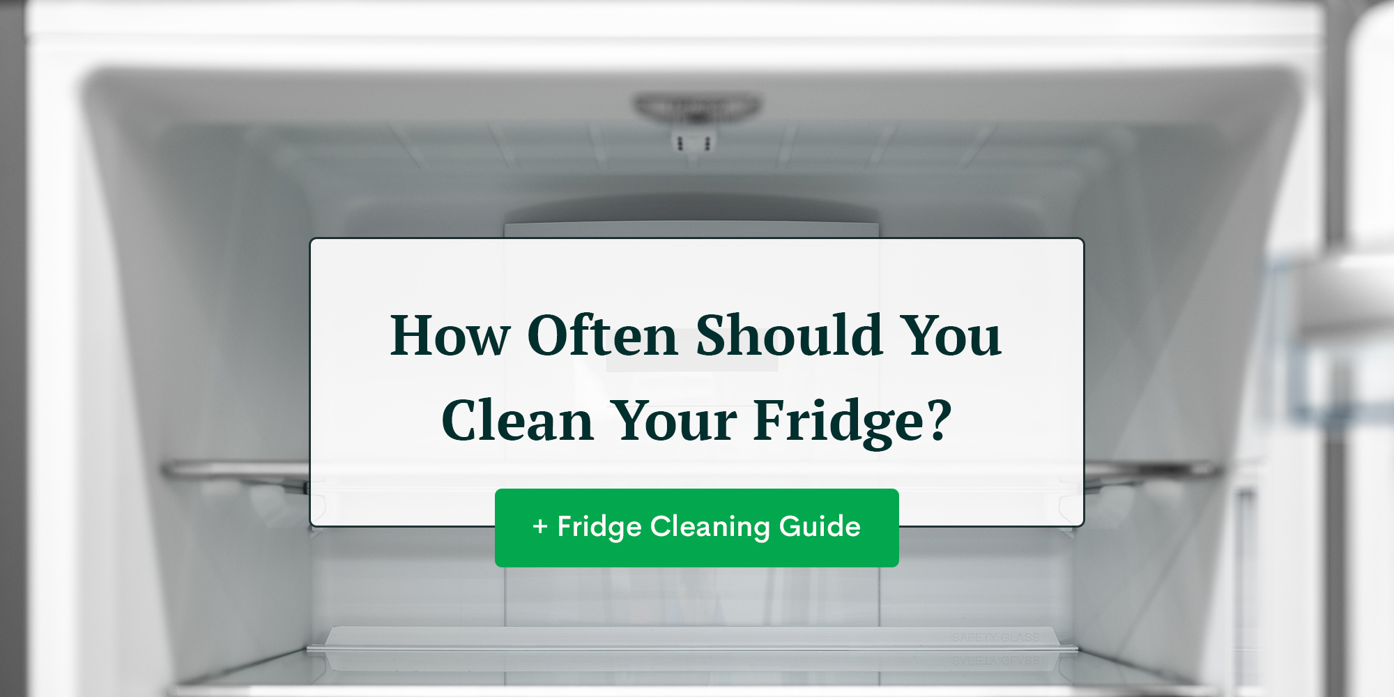 How Often Should You Clean Your Fridge?